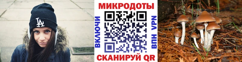 Галлюциногенные грибы GOLDEN TEACHER  Западная Двина 