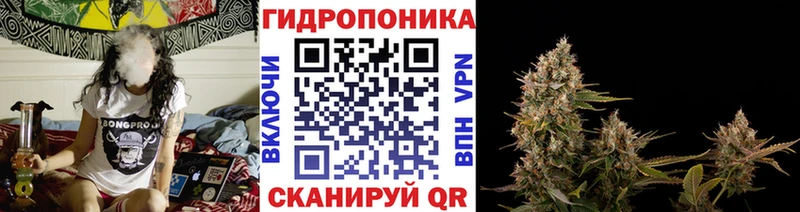 цены наркотик  Западная Двина  Канабис MAZAR 
